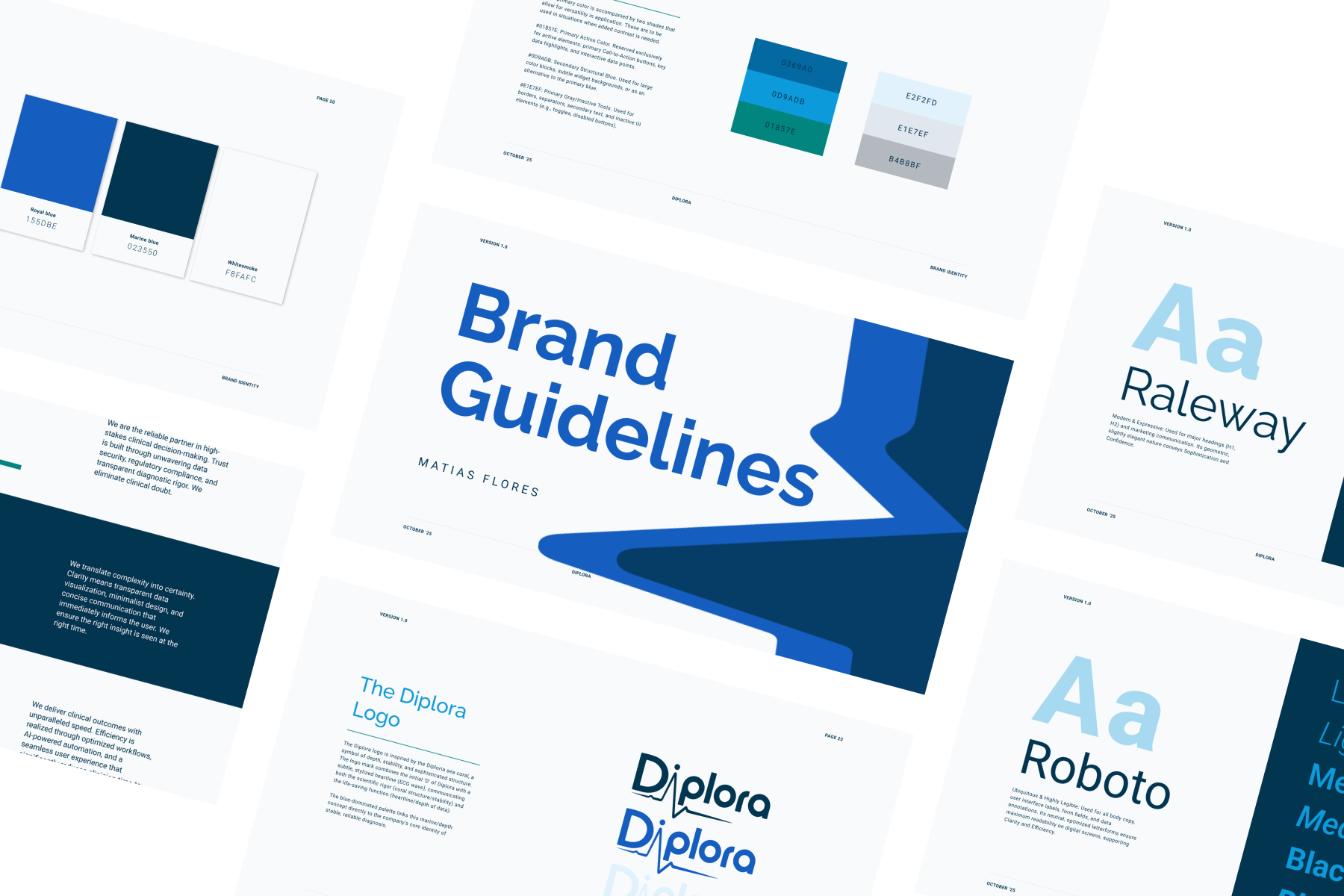 Diplora Brand Board showcasing the Clinical Blue and Diplora Coral color palette, accessible typography, and logo